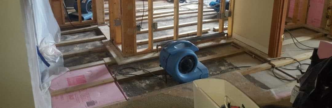 Profile background