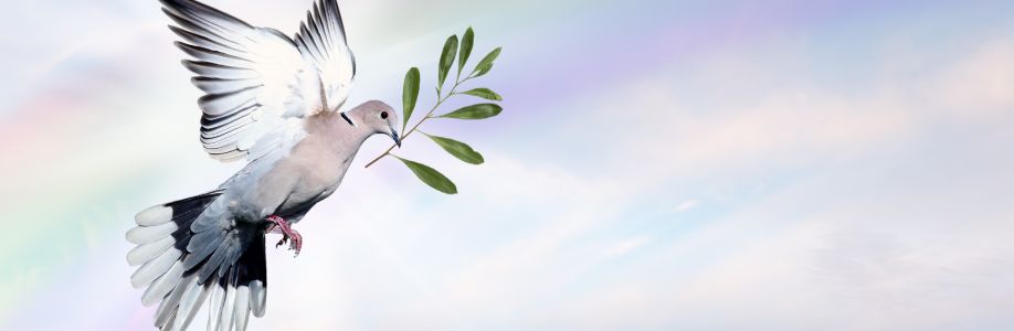 Profile background