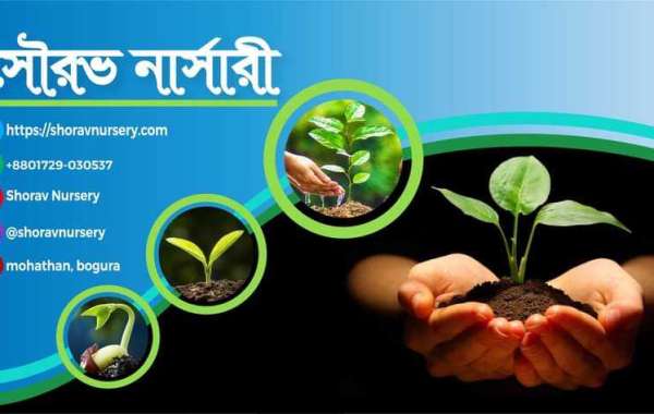 দেশি-বিদেশি ফলের গাছের নার্সারি