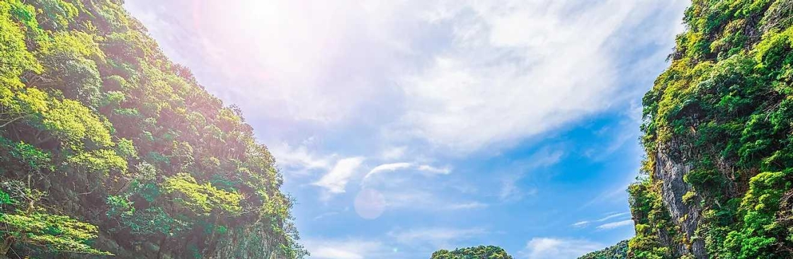 Profile background