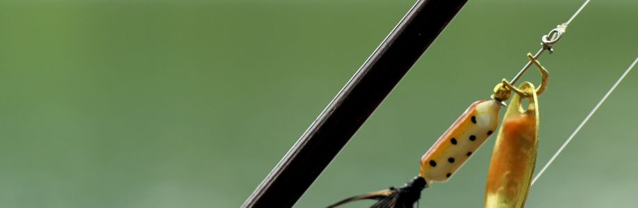 Profile background