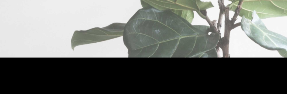 Profile background