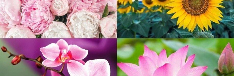 Profile background