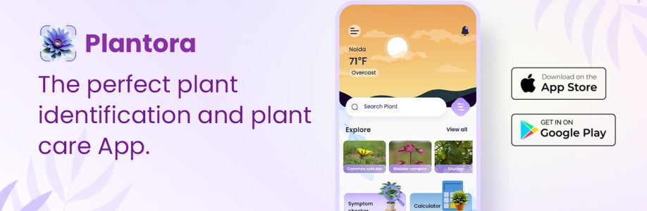 Profile background