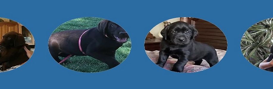 Profile background