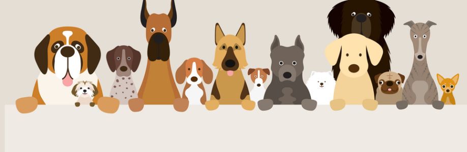 Profile background