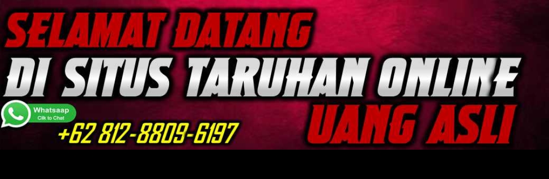 Profile background