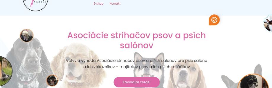 Profile background