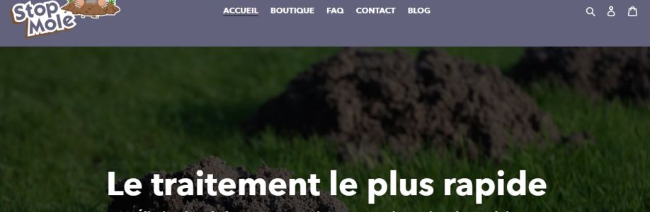 Profile background