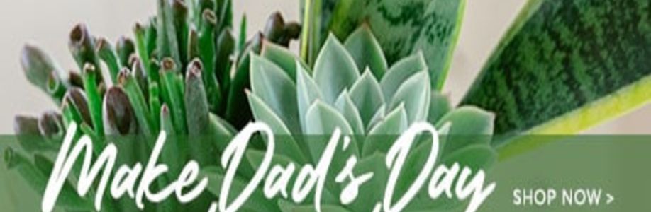 Profile background