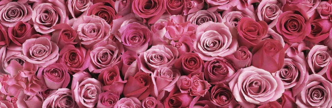 Profile background