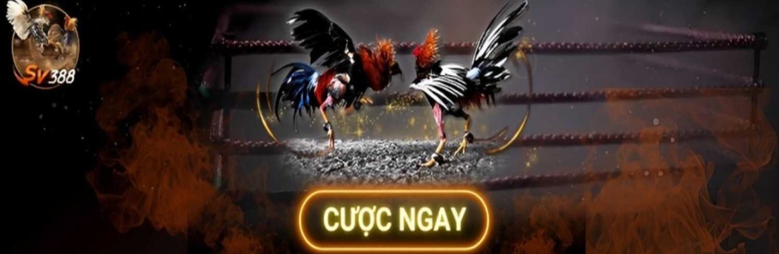 Profile background