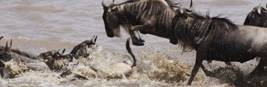 Profile background