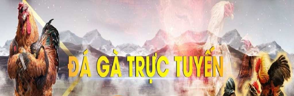 Profile background