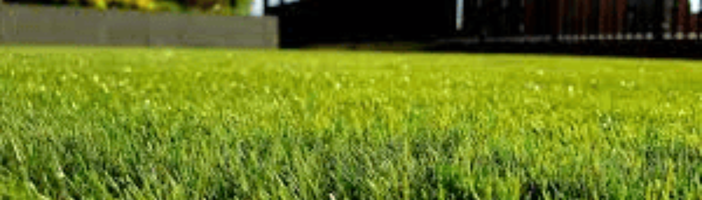 Profile background