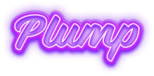 Plump: A Crypto Casino for Players Who Demand the Best