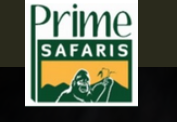 Africa Safari Tours: Unveiling the Magic of Gorilla Trekking & Beyond with Prime Safaris