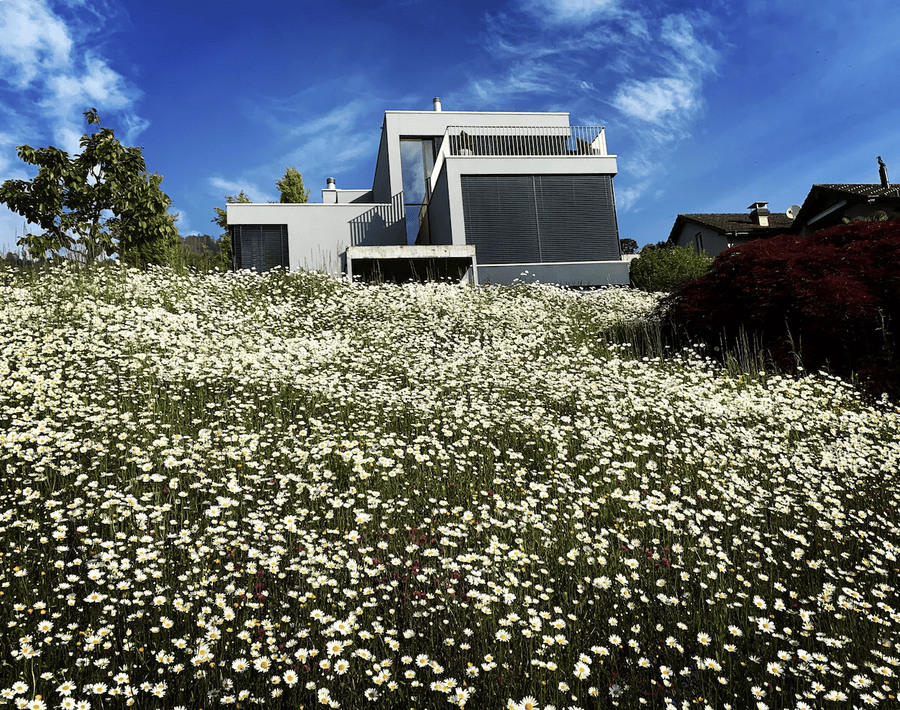 Guest Favorite Stay in Switzerland: Comfort, Views, and Unmatched Hospitality