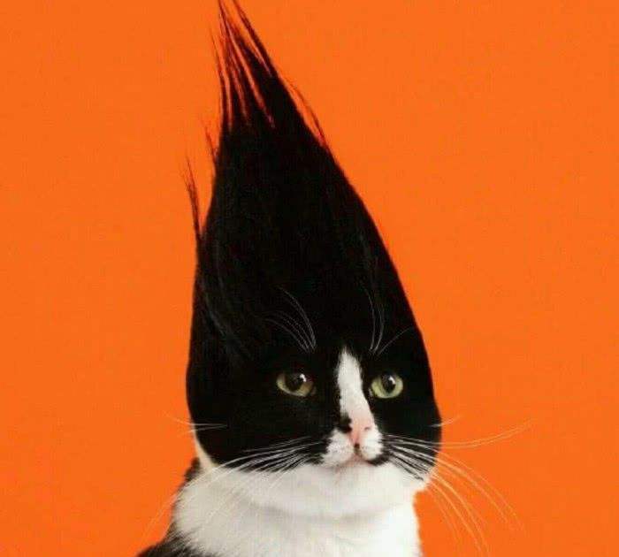 Herren-Fahrradbekleidung