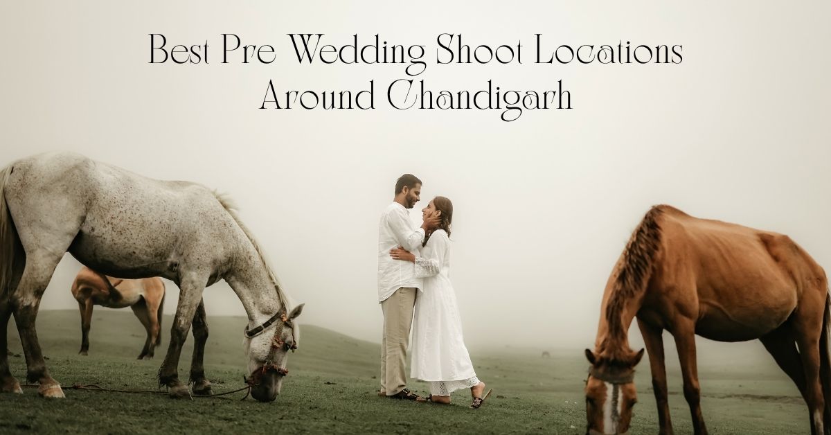 Best Pre Wedding Shoot Locations Around Chandigarh