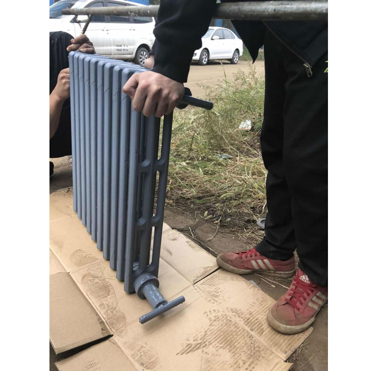 Cast Iron Heater Radiator: A Complete Popular Science Guide to Principles and Applications