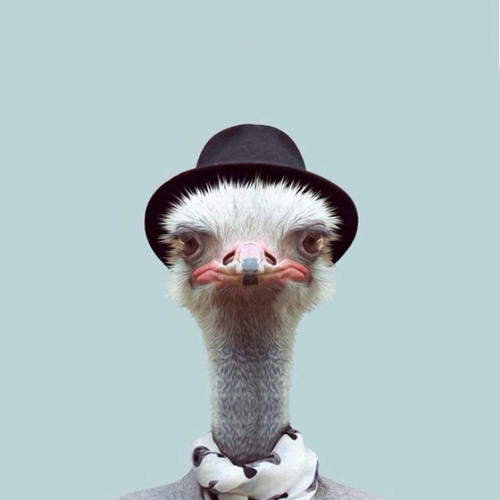 Fahrradtrikot Herren