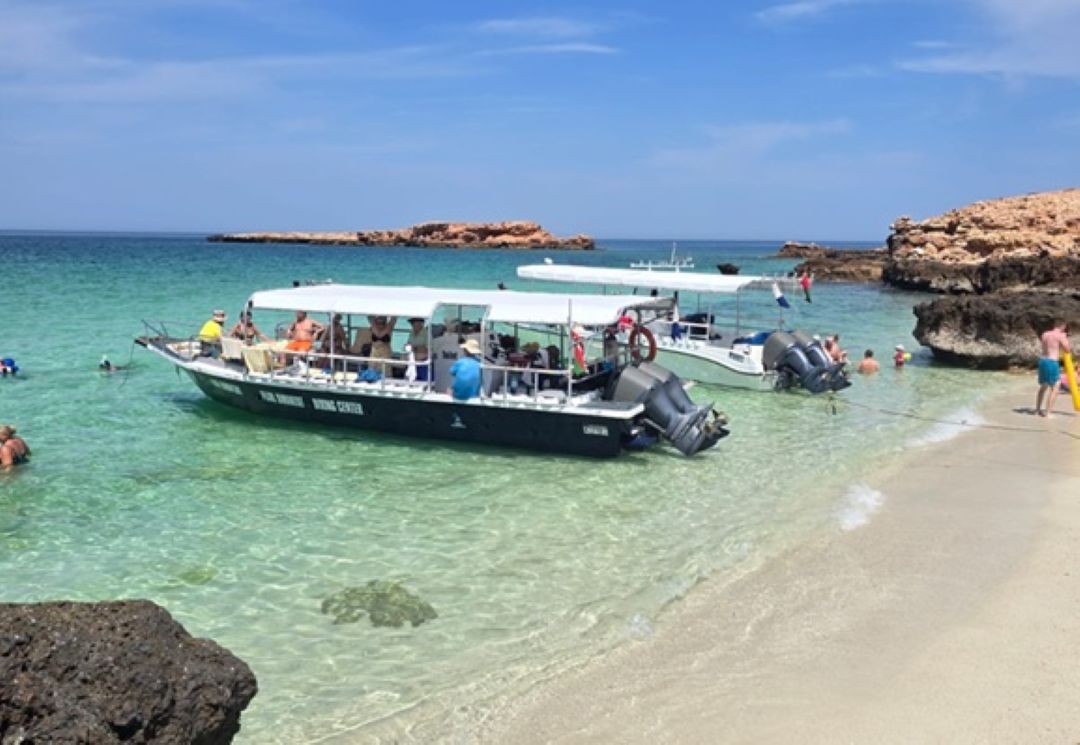 Snorkeling at the Daymaniyat Islands: Where Nature and Adventure Meet