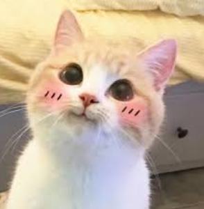 Kaufberatung für 60.000 Puffs E-Zigaretten: Fallen vermeiden und Qualität finden