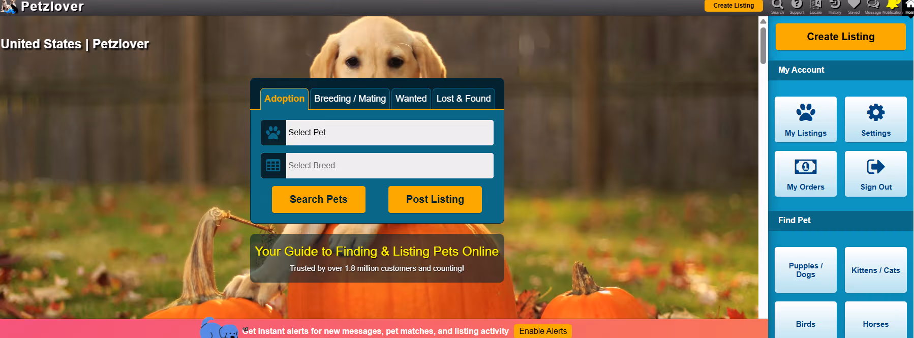 PetzLover: A Complete Platform for Pet Services and Pet Lovers
