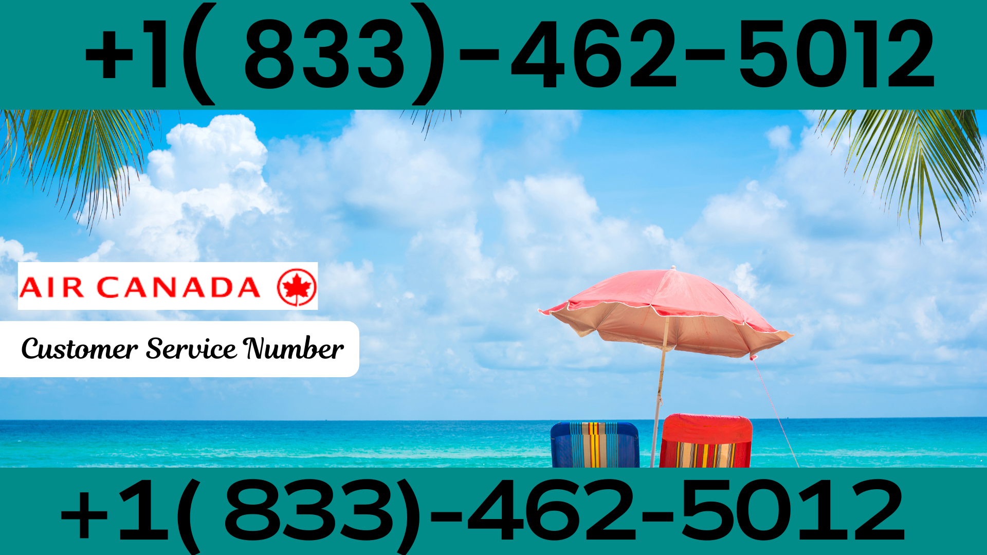 Air canada  65+ And Above Discounts – Online Deals & Booking Tips!! - Easyfie