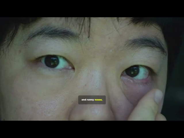 How Professionals Remove Mold