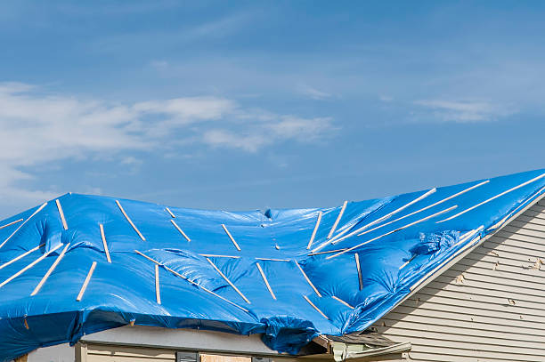 Temporary Roofing Systems: A Complete Guide