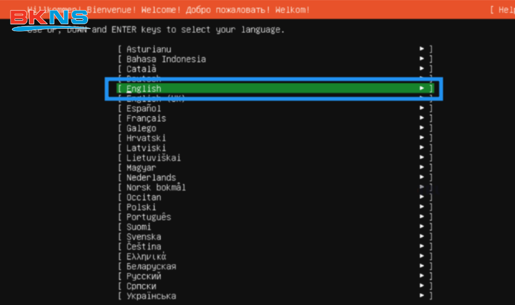 Hướng dẫn cài Ubuntu Server 24.04 LTS an toàn và bảo mật
