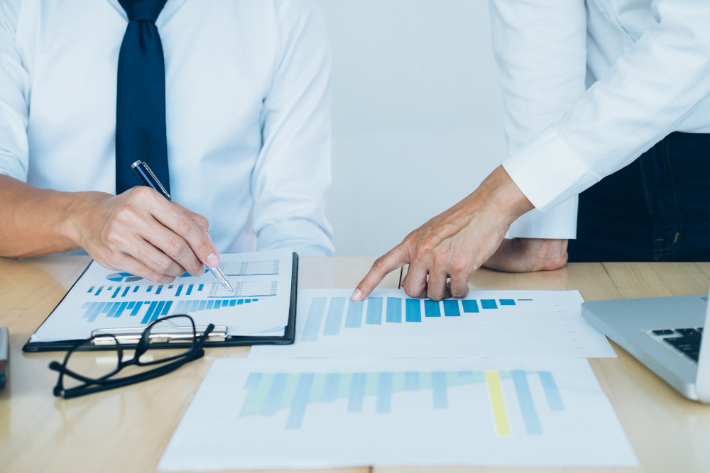 Understanding White Label Search Engine Options in Ocala, Florida