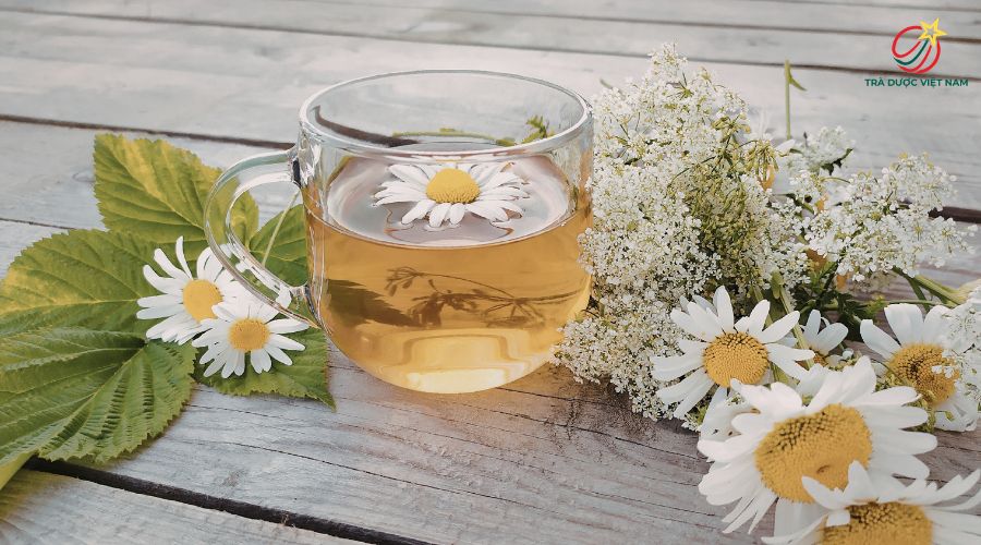 Trà hoa cúc có tác dụng gì mà ai cũng nên thử một lần? 🌼🍵