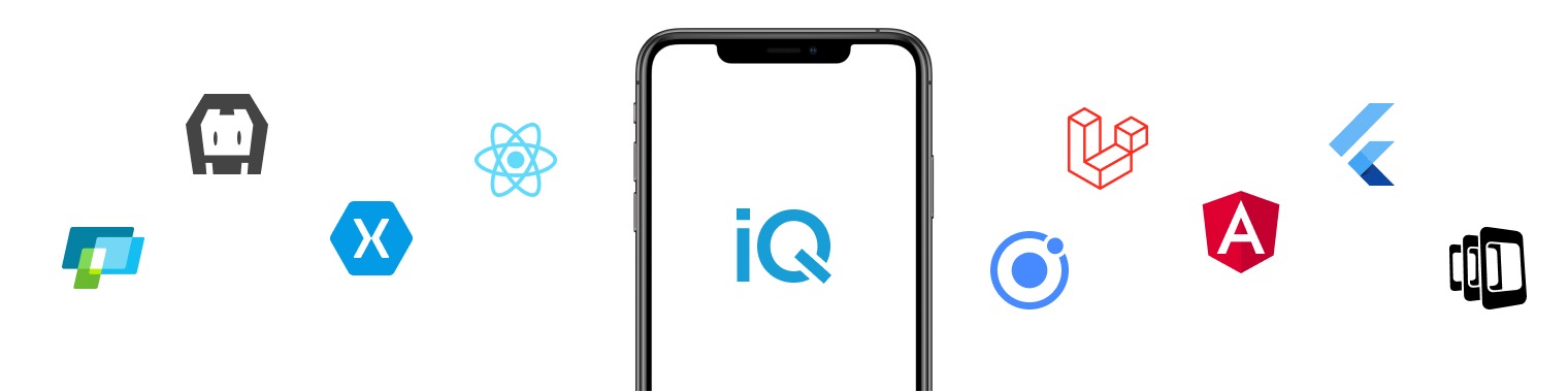 Accelerate Digital Growth with .NET Development Services | iQlance Solutions