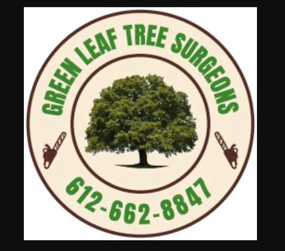 Benefits of hiring Green Leaf Tree Surgeons in Minneapolis, MN to Maintain Your Trees Healthy