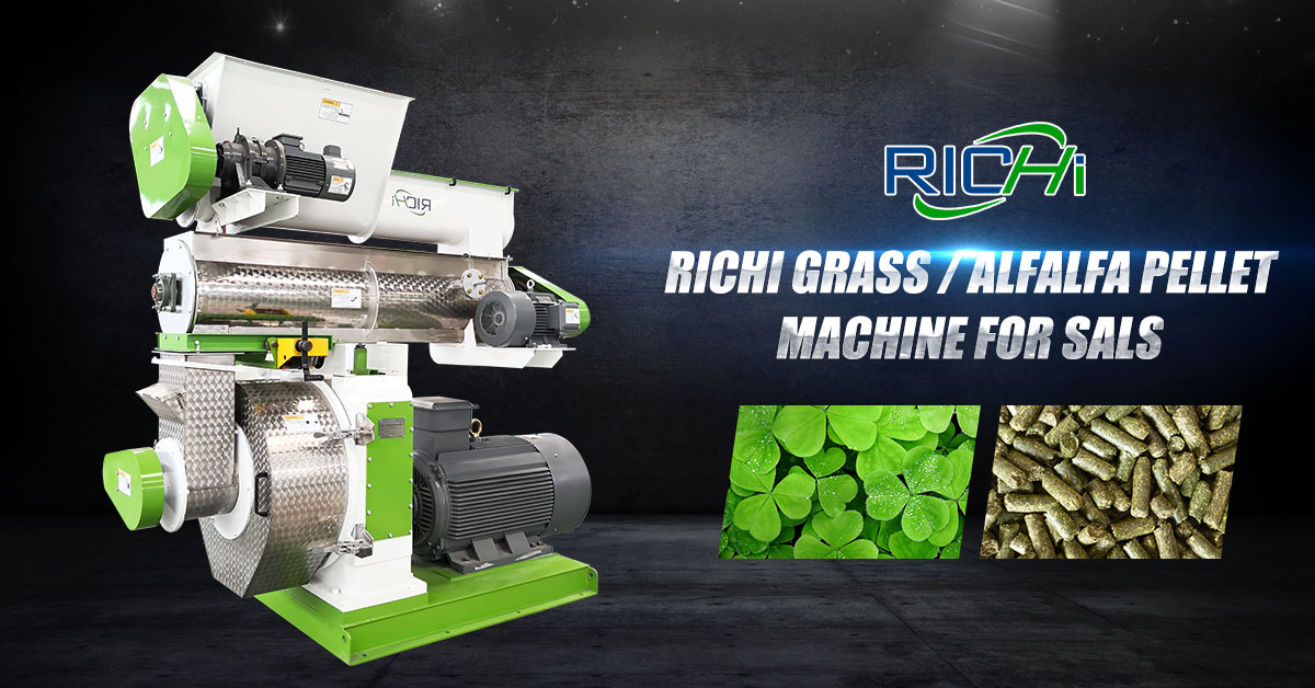 Renewable Energy from Grass Biomass