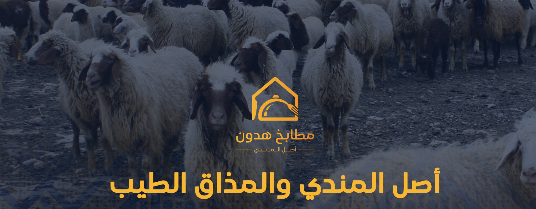 أفضل مندي في جدة—لمسة ذهبية على أرز البسمتي