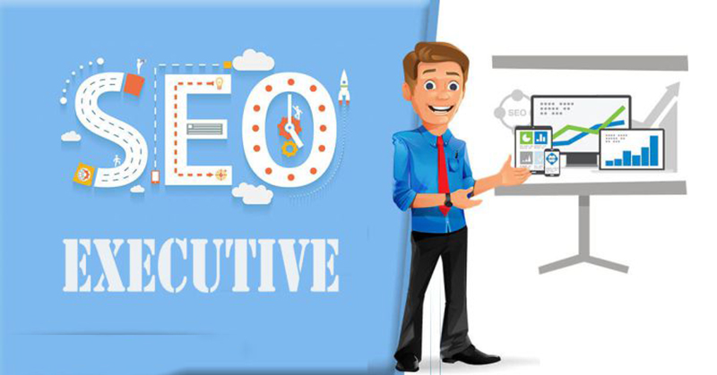 Portfolio SEO Executive nên có những gì