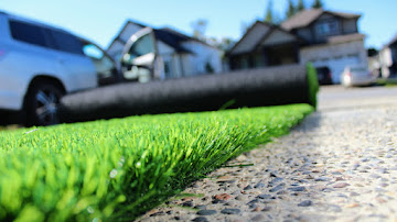 Premium Grass Blades