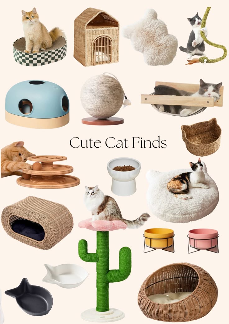 Unique Viral Pet Products Every Modern Pet Parent Needs