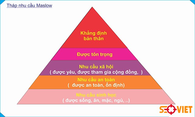 Tháp nhu cầu Maslow cần được đọc cùng yếu tố văn hóa