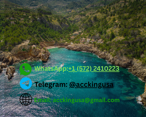 The Ultimate Guide to Buying Telegram Accounts