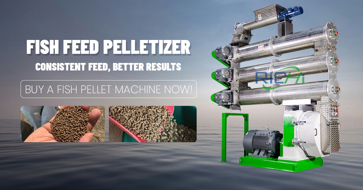Fish Feed Pellet Making Machine: A Complete Guide for Modern Aquaculture Production