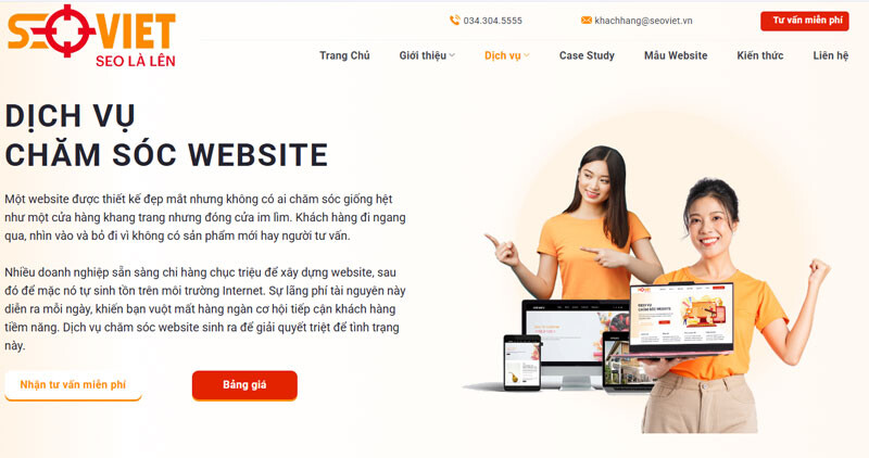 Chăm sóc website chuyên nghiệp không thay thế chiến lược SEO