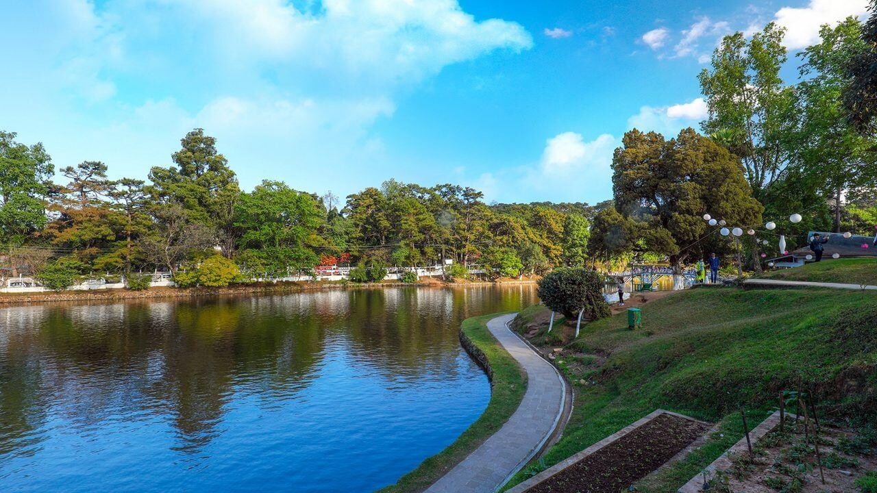 Green Hills and Hidden Wonders A 7 Day Meghalaya Trip