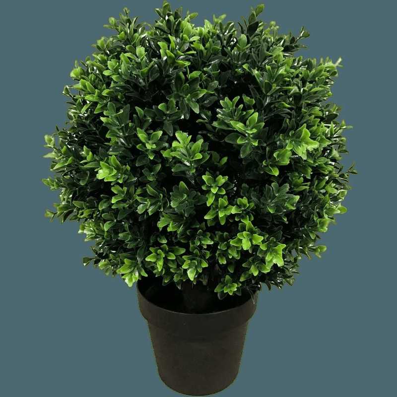 Add Some Freshness To Your Home With Designer Vertical Gardens