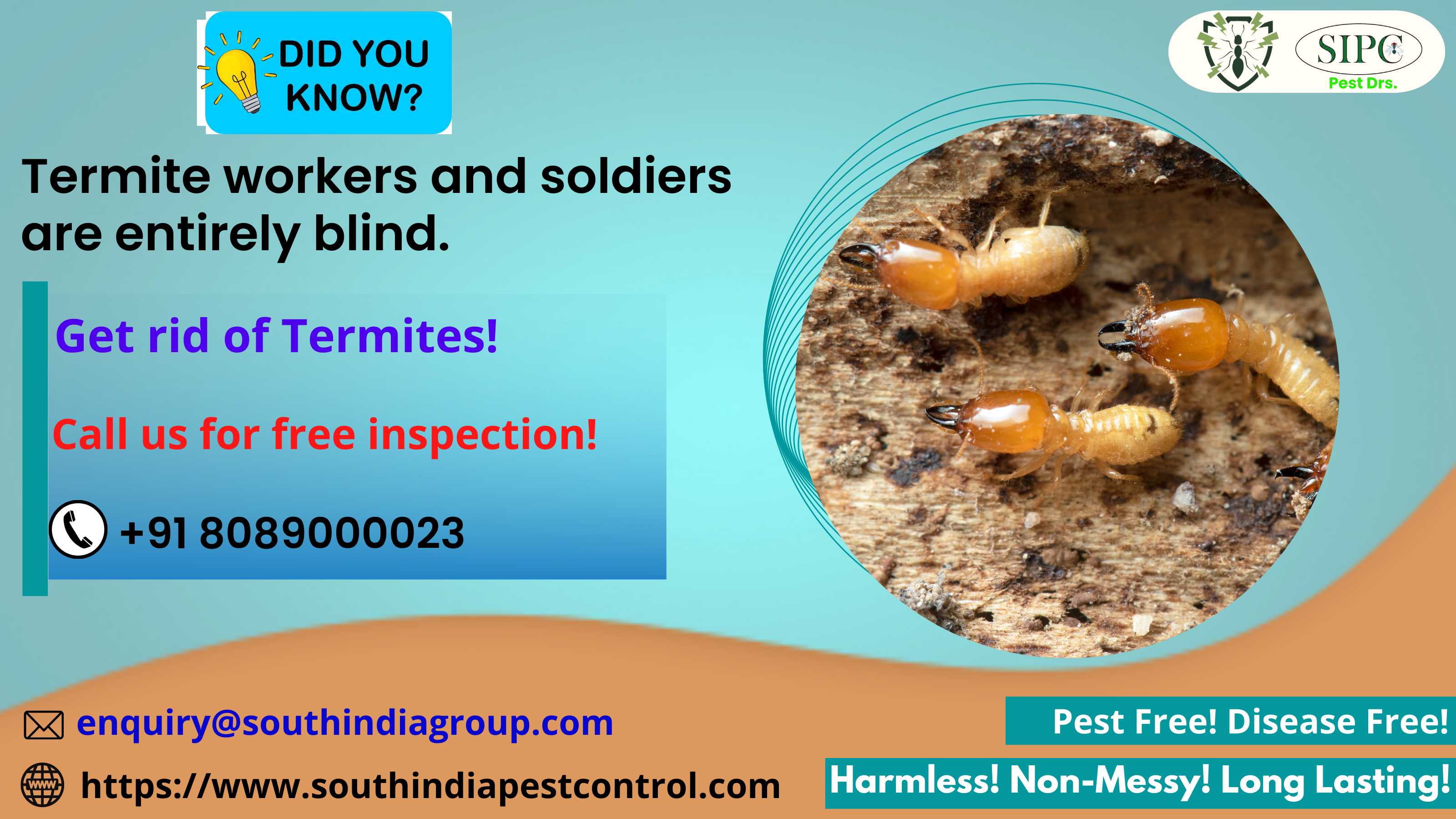 South India Pest Control