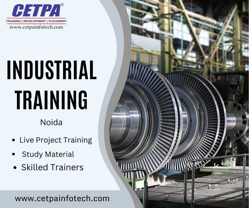 Industrial Training for 6 Months